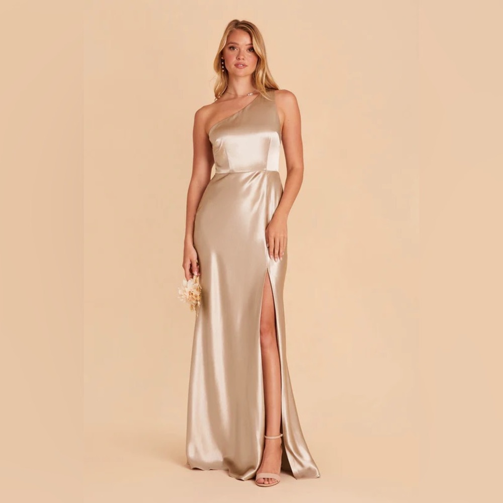 Satin Neutral Champagne Birdy Grey Dress